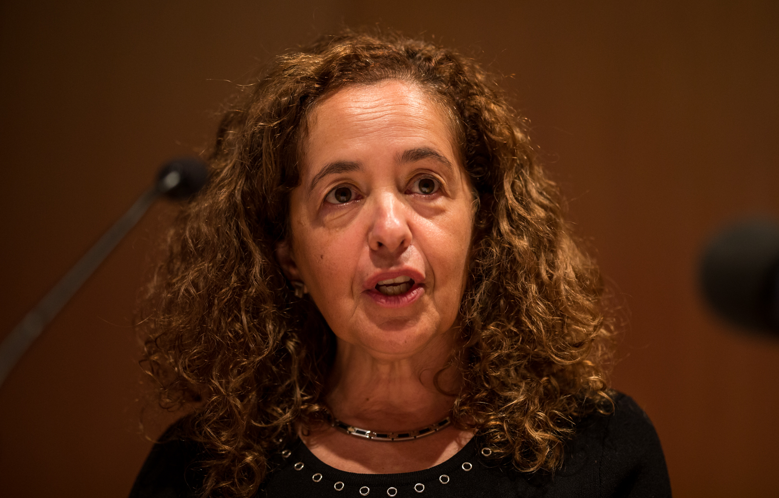 Thumbnail da galeria Aniversário ICS